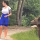 Imagen para el artículo titulado Detiene el auto para tomarse una foto con un oso salvaje. Sale mal